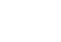 Vividly logo