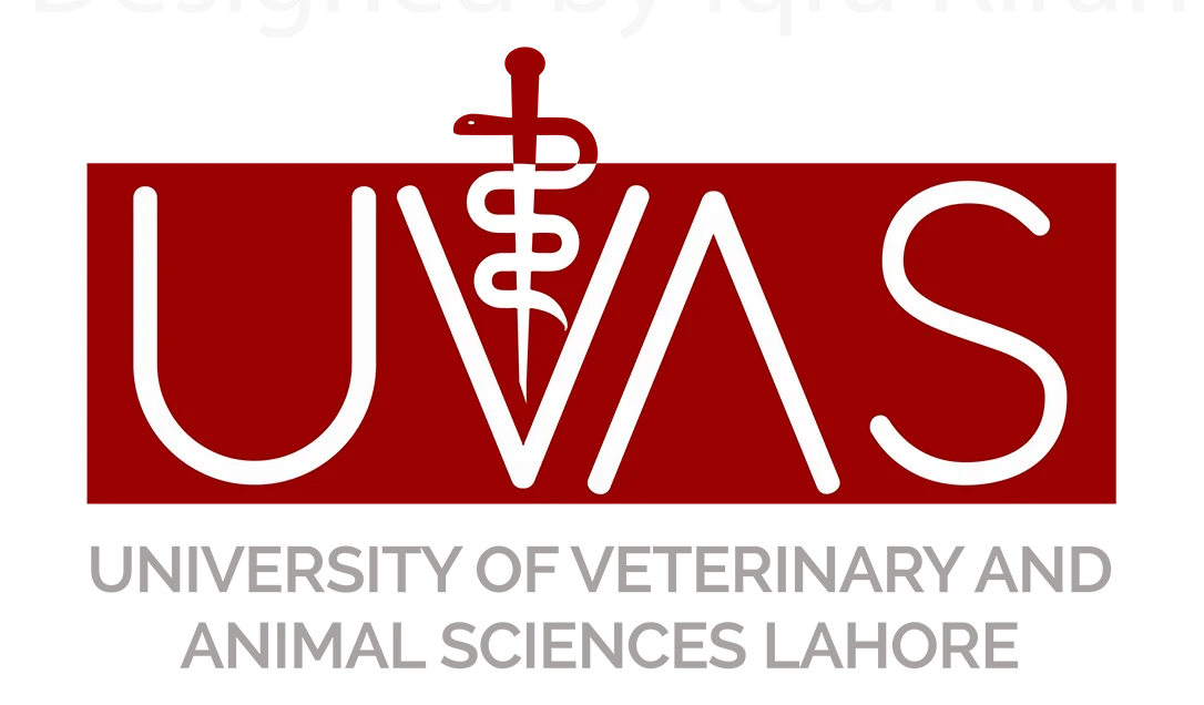 Vividly logo