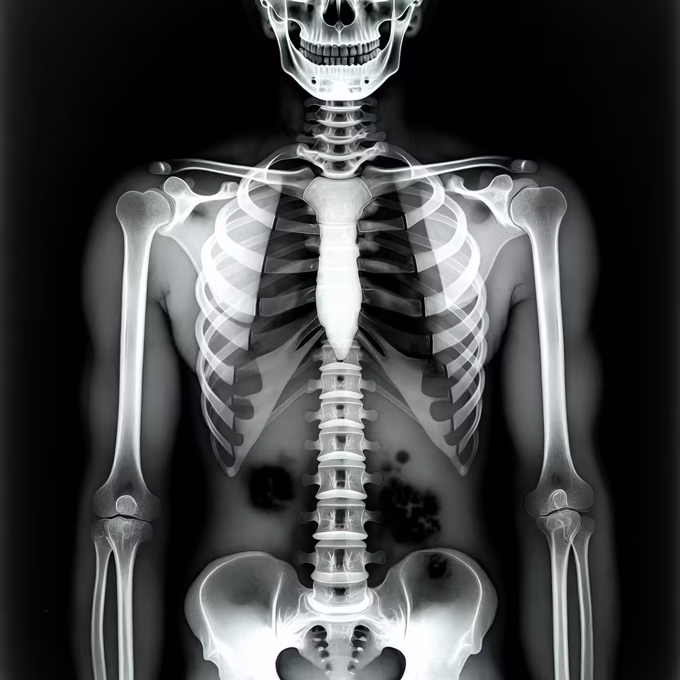 X-Ray Lens AI | Automated Pathological Intelligence project showcase by Antrosys